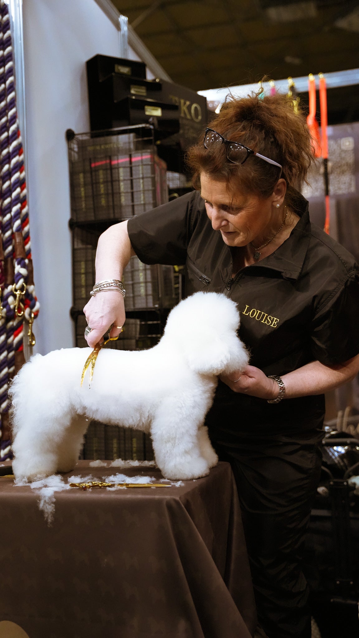 Groomer’s Best Friend