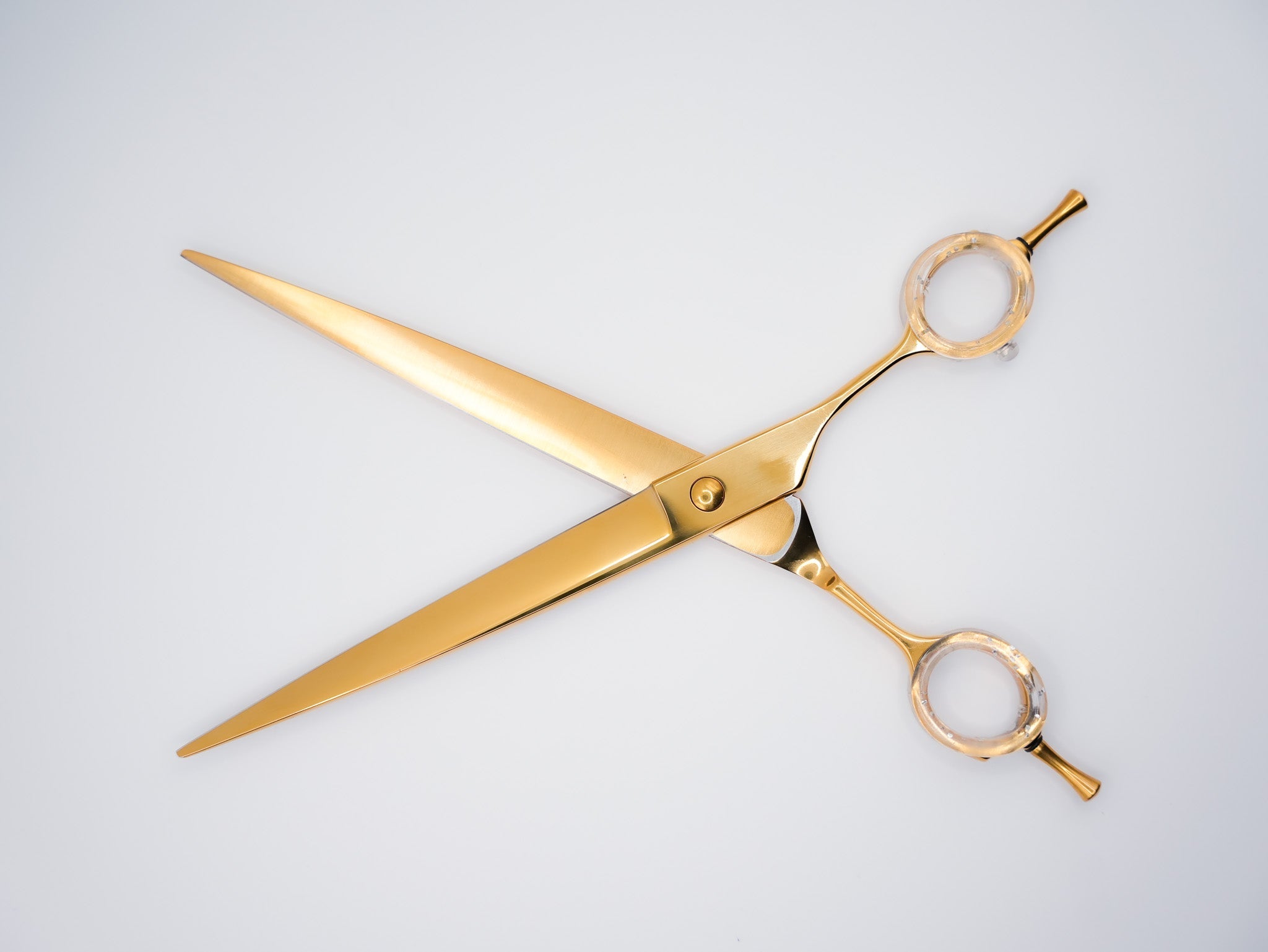 Gold CNC Master Straights - Grooming Scissors - Pewtner Grooming Supplies