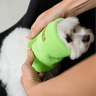 Happy Cappys™ Dog Drying Snood Set - Pewtner Grooming Supplies