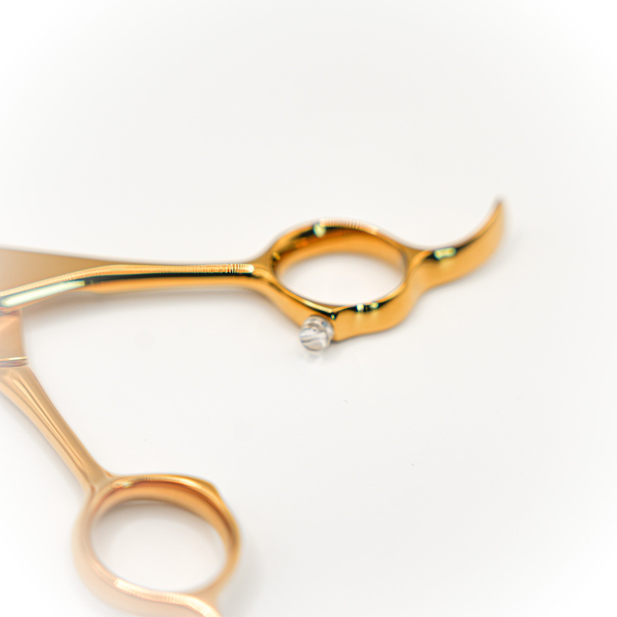 Pewtner Celestial Curves 7.5 & 8” - Pewtner Grooming Supplies