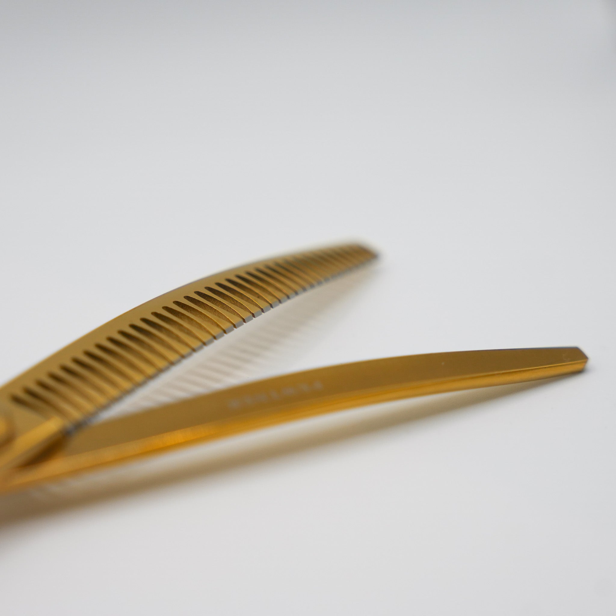 Pewtner Funky Chunkys - Gold - Pewtner Grooming Supplies