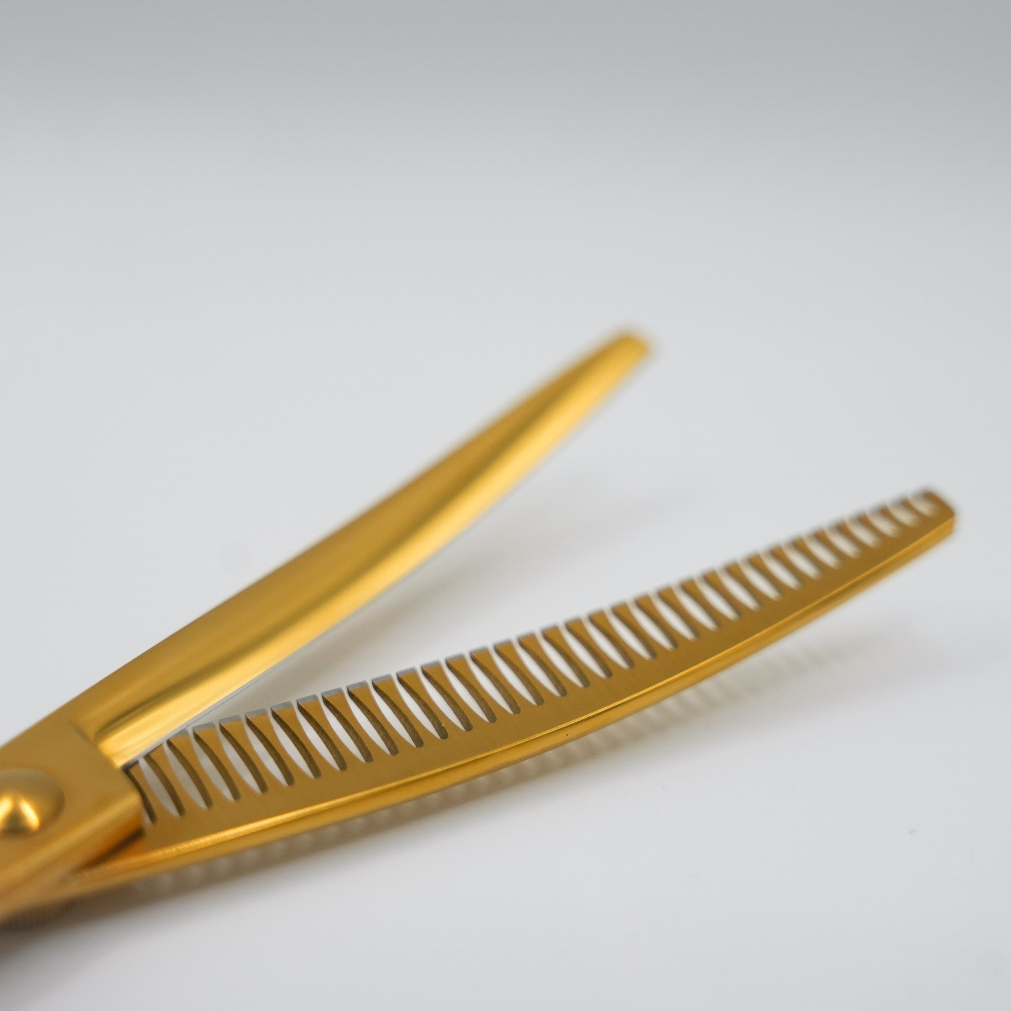 Pewtner Funky Chunkys - Gold - Pewtner Grooming Supplies