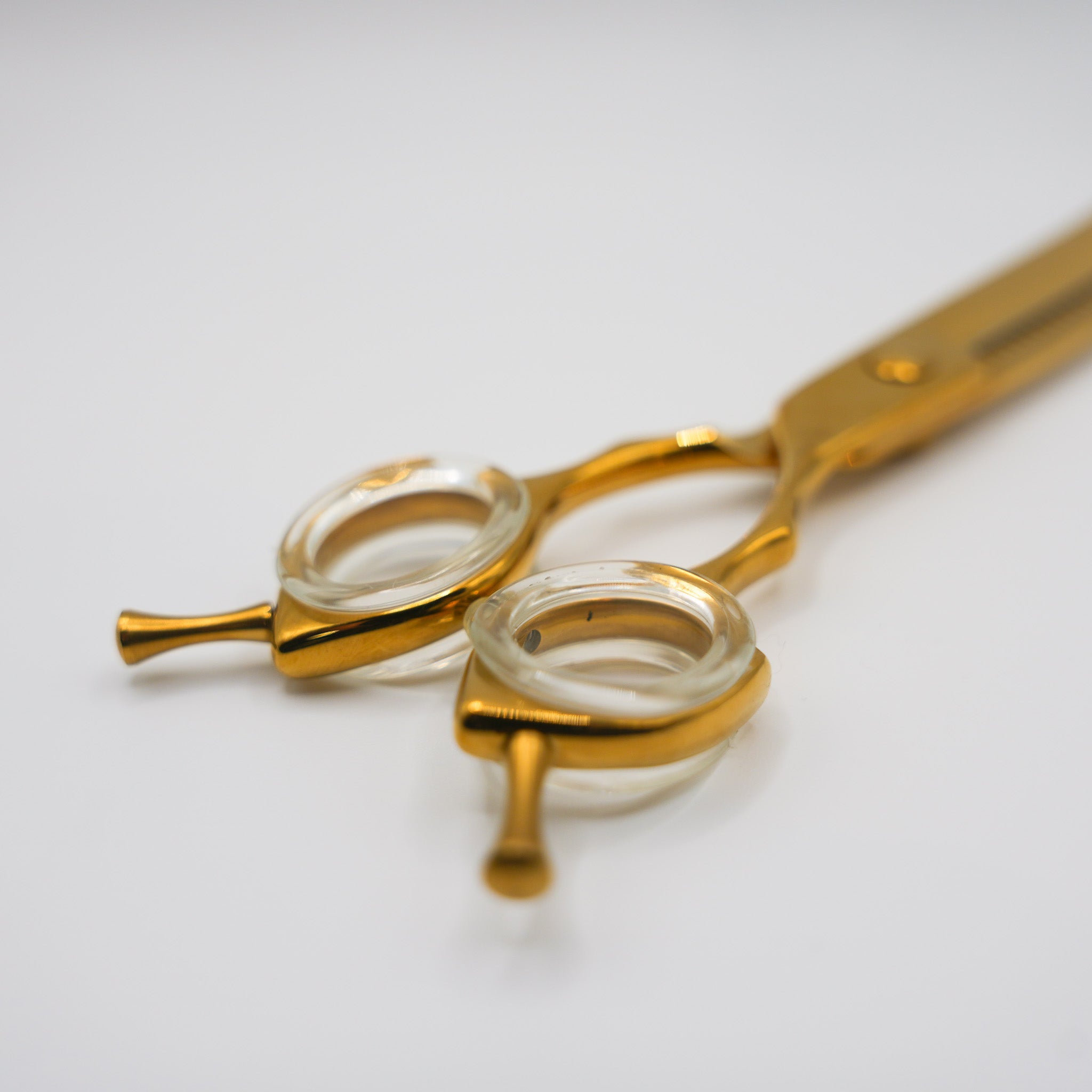 Pewtner Funky Chunkys - Gold - Pewtner Grooming Supplies