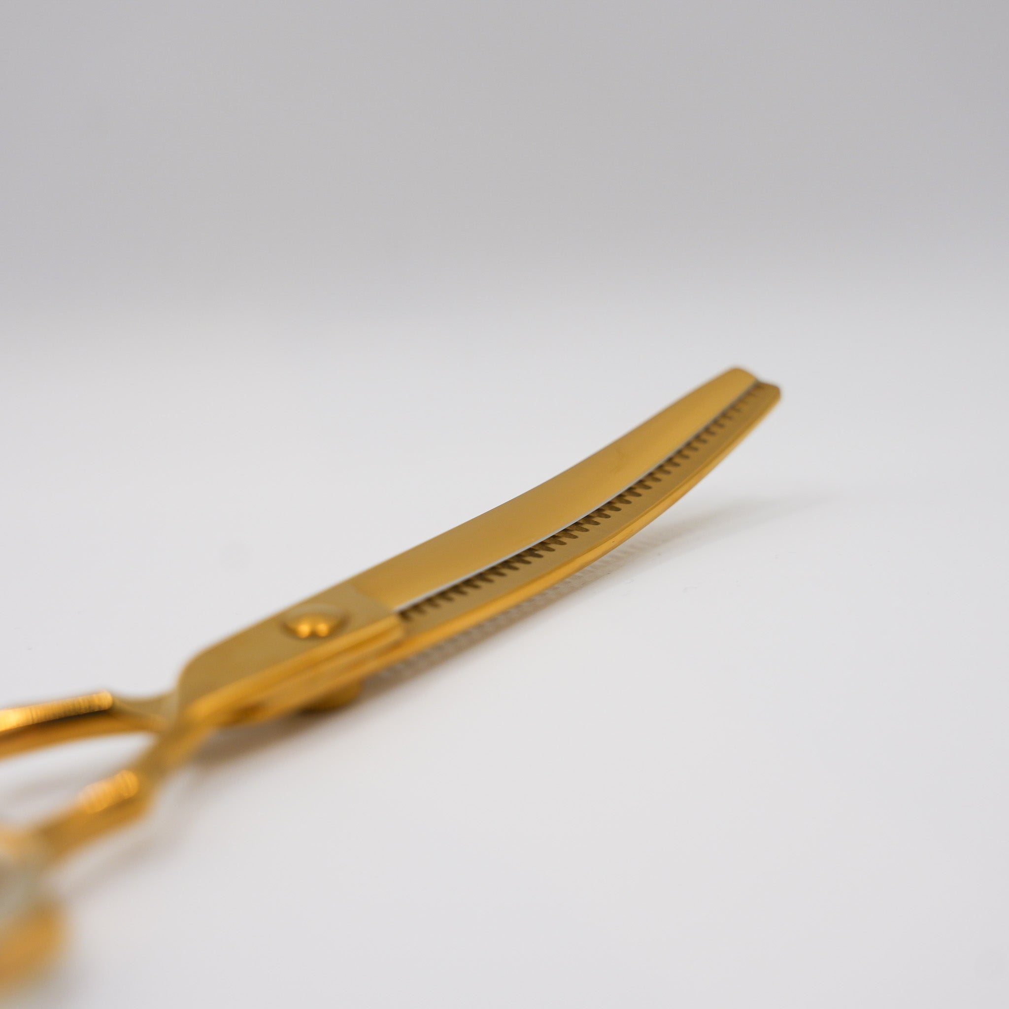 Pewtner Funky Chunkys - Gold - Pewtner Grooming Supplies